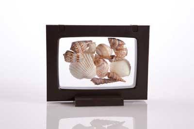 Z-Access DisplayIt3D Frame