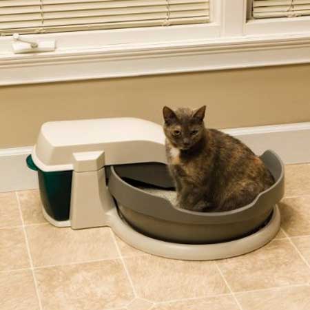 PetSafe Simply Clean Self-Cleaning Automatic Litter Box System